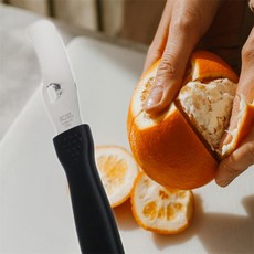 리노샵 리노샵 오렌지필러 칵테일데코 오렌지칼