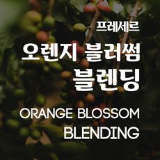 프레세르 오렌지 블러썸 블렌딩 Fraicheur Orange Blossom Blending, 250g, 핸드드립, 250g, 1개