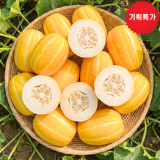 [햇수확] 농장직송 성주 참외 가정용 실속구성, 1개, 가정용 랜덤과 1kg