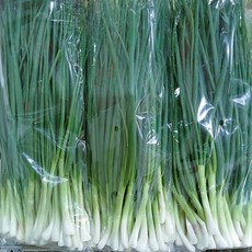 [농수산 장터] 깐쪽파 300g 500g 1kg, 1개