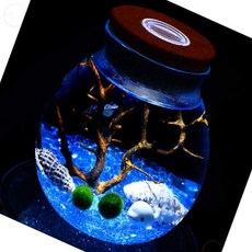 해들일추천샵 마리모 LED 유리병 12X13CM 마리모어항, 1개