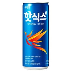 핫식스 250mlx30캔x2박스., 250ml, 60개