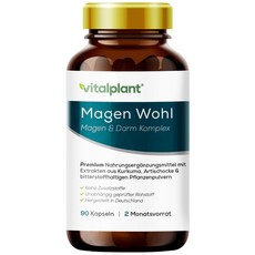 VitalPlant 바이탈플랜트 독일 Magen Wohl 담 콤플렉스 90캡슐, 1개