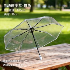 長柄透明雨傘 8骨傘 韓系INS風學生網紅廣告傘