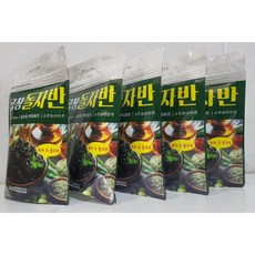 올리브녹차&곱창돌자반, 5개, 35g