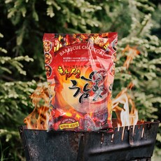 화성연료 화성 참숯, 700g, 4개