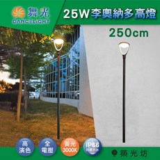 築光坊 舞光 LED 25W 李奧納多戶外高燈 黃光 步道燈 景觀燈 公園 街道 高燈 路燈 IP66, 舞光25W李奧納多戶外高燈-高250cm