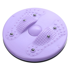 캐시웨이 홈트 트위스트 원반, 1개, 퍼플