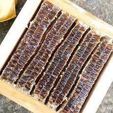 윤태준 꿀 벌집꿀 4kg내외 가정용 (일반포장) 벌집꿀+아이스박스 화분있음, 4kg