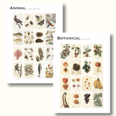 아기벽보 세밀화 낱말포스터 2종 아기방포스터 동물 식물 곤충 과일 한글 영어