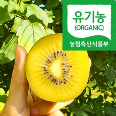 [유기농명품농장] 천연퇴비 맛보면단골 국산골드키위 참다래, 1박스, 5kg(쥬스용)
