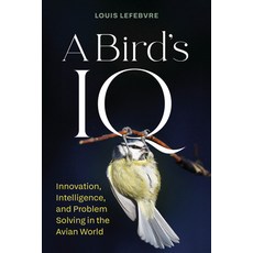(영문도서)A Bird's IQ: Innovation Intelligence and Problem Solving in the Avian World Hardcover, Greystone Books, English, 9781778402647