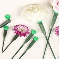 프롬태오 꽃 워터픽 30P 플라워워터튜브, 숏