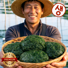 국산 완도 생 매생이 백화점납품용 최상급 햇매생이, 3개, 350g