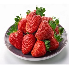 당일수확 프리미엄 국내산 딸기 350g 15-21구 한입 1팩