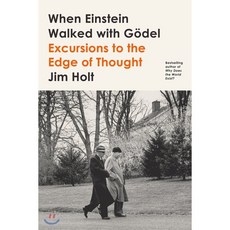 When Einstein Walked with Godel : Excursions to the Edge of Thought, Farrar, Straus and Giroux
