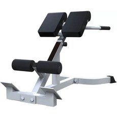 웨이트 백익스텐션 헬스장 복근 허리 기구 홈트레이닝 코어 근력 운동기구 트레이닝, 두꺼워진 로만 체어