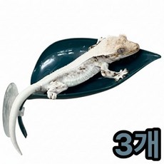 미니포레 나뭇잎 백업 크레 용품 도마뱀 사육장 꾸미기, 3개, 블루그린