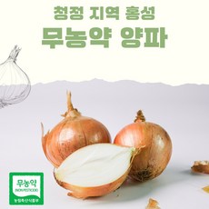 [홍성유기농] 산지 직송 국산 무농약 유기농 햇 양파, 1박스, 무농약 정품 양파 2kg