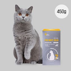 [마이펫닥터] 아임낫올드 노령묘영양제 반려동물 고양이 치매예방 인지기능항산화 450g 1ea, 뇌/인지, 1