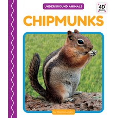 Chipmunks Library Binding, Pop!, English, 9781532167607