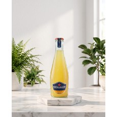 산펠레그리노 4종 내맘대로 믹스팩 200ml 24병, 24개