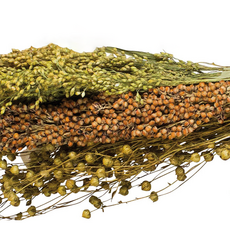 햄스터풀 자연주의 수수 밀렛 세트, 수수 밀렛 아마씨 세트, 1개