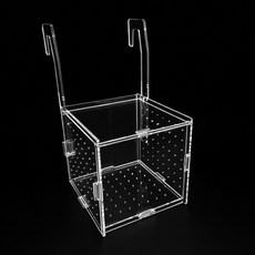 아마존피쉬 zoog 격리통 걸이형 10, 1개