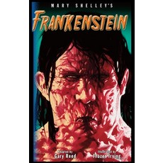 (영문도서) Frankenstein-The Graphic Novel Paperback, iBooks, English, 9781899694310