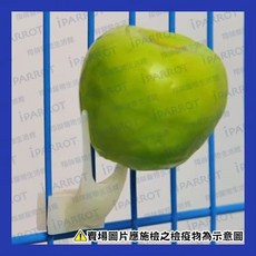 鳥用水果叉 鸚鵡餵食配件 鳥籠配件, 1個, 小