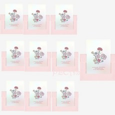카네이션 카드 봉투 세트, 10개