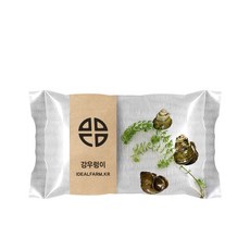 관찰 학습용 강우렁이, 단품, 상세페이지 참조