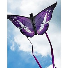 연날리기 야외 캠핑 놀이 대형연 얼레포함 떴어연 3종 택1, 나비떴어연, 1개