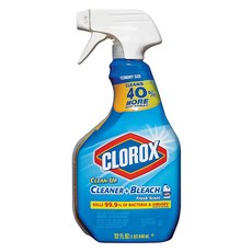 Clorox 高樂氏 多功能漂白清潔劑 清香型, 1個