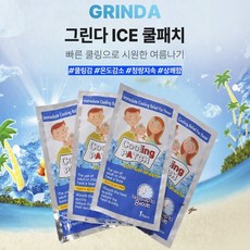 구띨 아이스 쿨패치 열냉각 해열시트 열패치 쿨링시트 냉찜질 10개