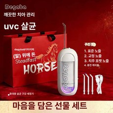 셀렉트하루 휴대용 전동치실 구강세정기 워터플로서, 1개, 뉴 이어 한정 화이트