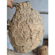 말벌복 벌초옷 벌초복장 양봉복 방충옷 야외 꿀벌, 1개, 단일 항목