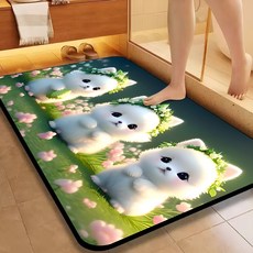 욕실 발매트 규조토 미끄럼 방지 속건 화장실발매트 주방 문어귀 매트 큐티보이, 그린+옐로우