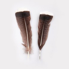 釣友俱樂部 火雞尾羽 綁製羽毛 飛蠅鉤 漁具, 1個, 精選火雞尾羽(一對)