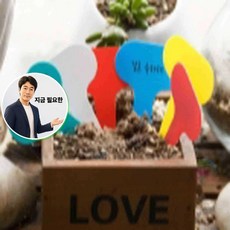 지금 필요한 소형 화단 100P 네임택 식물이름팻말 화분이름표꽂이 화분 이름표 라벨 화분이름 식물 K31872EA, 1.화분이름소형100개