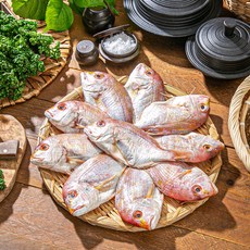 제철밥상 국내산 반건조 꽃돔, 1개, 반건조 꽃돔 4~6미 (18~23cm)