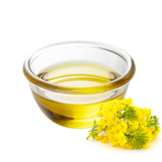 카놀라 오일[Canola oil 채종유], 00ml, 1개