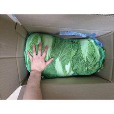 (당일경매 당일발송) 속이 꽉 찬 국내산배추 1망 ( 9kg~10kg)(해남배추)(엠제이프레쉬), 9kg, 1개
