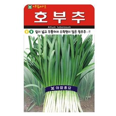 호부추 씨앗 씨 부추씨 종자, 1개 1개