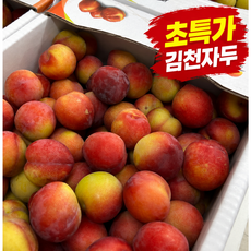 [초특가판매] 고당도 김천자두 노지 제철과일, 1박스, 3kg