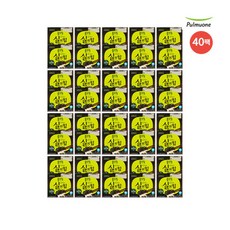 [풀무원] 살아있는 실의 힘 국산검정약콩 나또 40팩