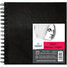 Canson Artist 시리즈 스케치북 종이 패드 연필 및 숯용 와이어 바인딩 65 파운드 8 x 인치 80매
