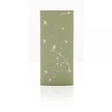 Cygnett GrooveShield DuoTone Blossom 하드 쉘 케이스 iPod nano 4G용 (옐로우/그린), Cygnett GrooveShield DuoTone B