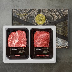 냉장 횡성 한우 1+ 혼합 선물세트 등심300g+불고기300g, 1세트