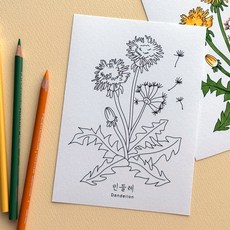 민들레 꽃 쉬운 색칠 엽서 도안 편지쓰기, 1개